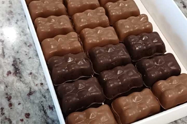 Ourson en guimauve chocolat au lait ou noir